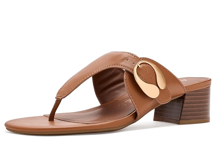 Women's Aerosoles Cloude