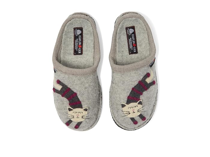 Unisex Haflinger Katze